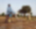 Prévisions climatiques saisonnières